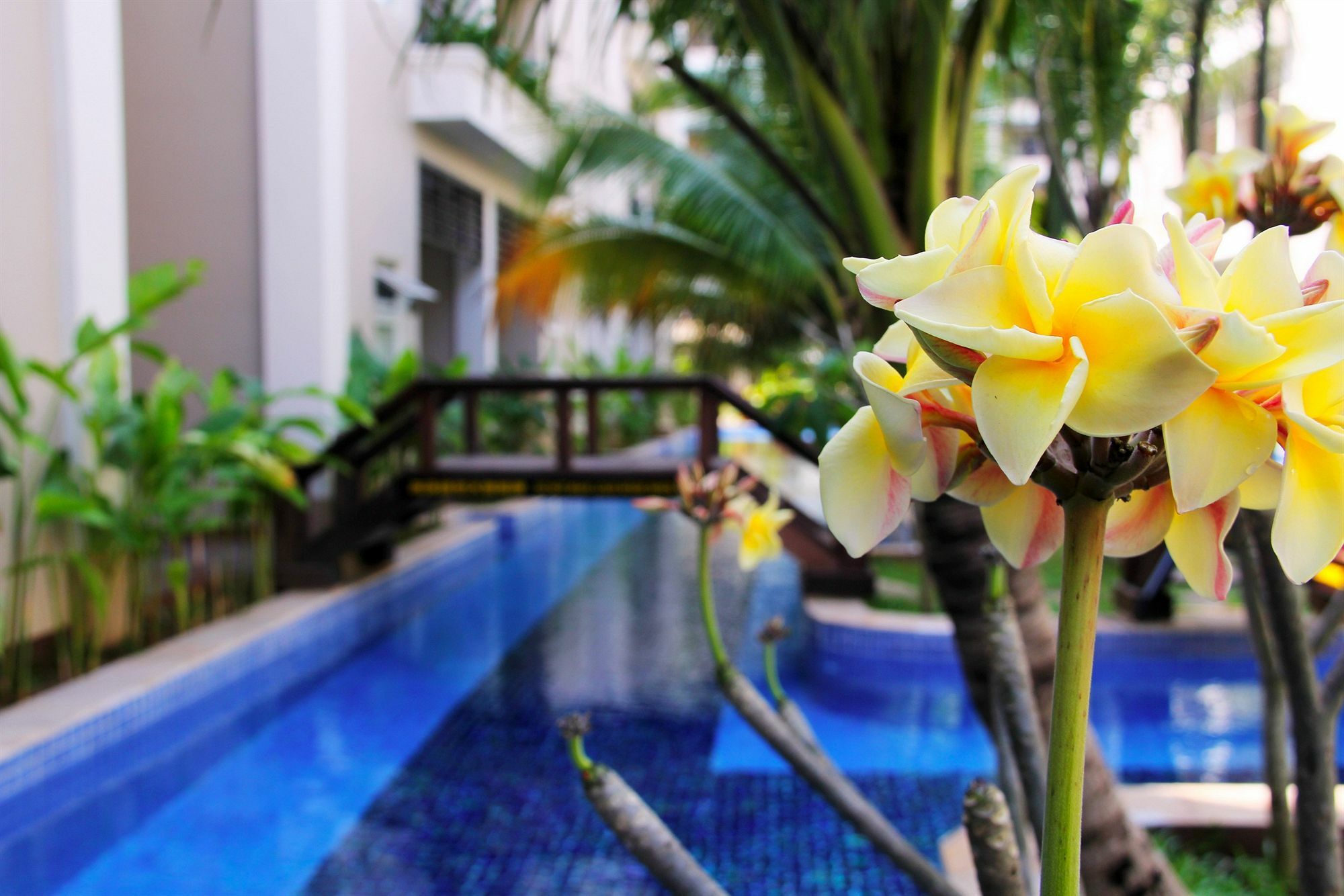 Bali Hotel Phnom Penh Dış mekan fotoğraf